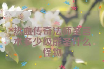 热血传奇法师圣言术多少级能圣什么怪物