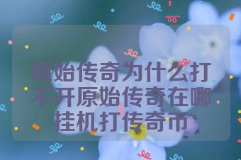 原始传奇为什么打不开原始传奇在哪挂机打传奇币