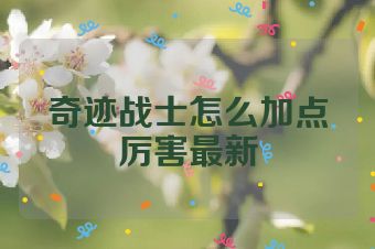 奇迹战士怎么加点厉害最新