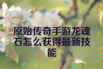 原始传奇手游龙魂石怎么获得最新技能