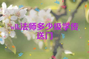 wlk法师多少级学传送门