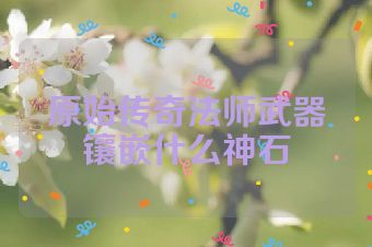 原始传奇法师武器镶嵌什么神石