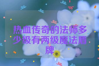 热血传奇的法师多少级有两级魔法盾牌