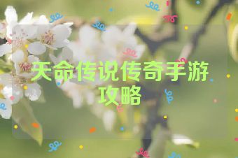 天命传说传奇手游攻略