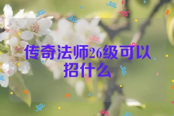 传奇法师26级可以招什么