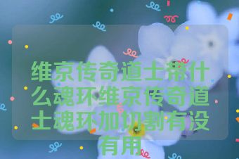 维京传奇道士带什么魂环维京传奇道士魂环加切割有没有用