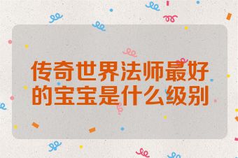 传奇世界法师最好的宝宝是什么级别