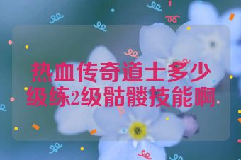 热血传奇道士多少级练2级骷髅技能啊