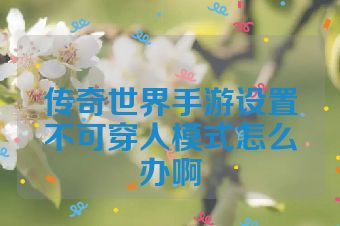传奇世界手游设置不可穿人模式怎么办啊