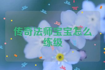 传奇法师宝宝怎么练级