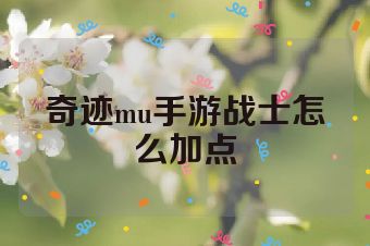 奇迹mu手游战士怎么加点