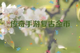 传奇手游复古金币