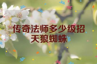 传奇法师多少级招天狼蜘蛛