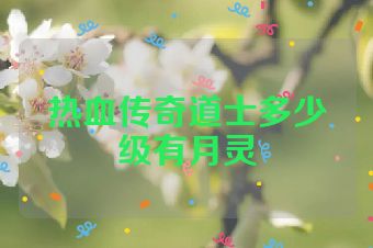 热血传奇道士多少级有月灵