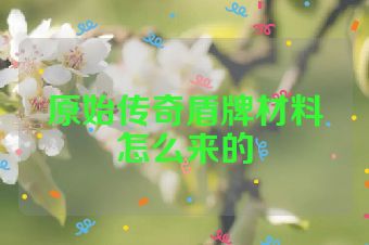 原始传奇盾牌材料怎么来的