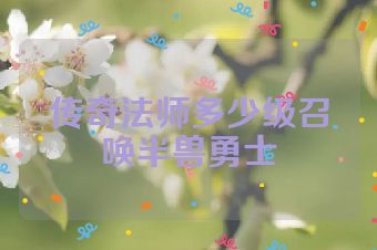 传奇法师多少级召唤半兽勇士
