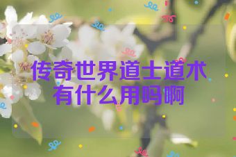 传奇世界道士道术有什么用吗啊