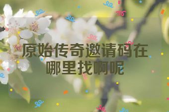 原始传奇邀请码在哪里找啊呢