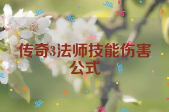 传奇3法师技能伤害公式