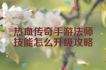 热血传奇手游法师技能怎么升级攻略