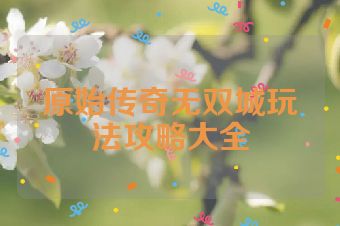 原始传奇无双城玩法攻略大全
