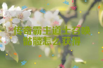 传奇霸主道士召唤骷髅怎么获得