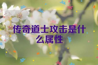 传奇道士攻击是什么属性