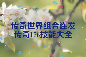 传奇世界组合连发传奇176技能大全