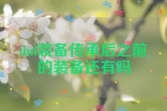 dnf装备传承后之前的装备还有吗