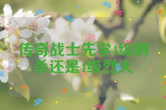 传奇战士先学4级刺杀还是4级烈火