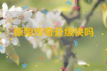 原始传奇升级快吗