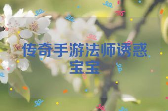 传奇手游法师诱惑宝宝
