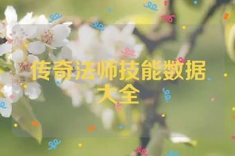 传奇法师技能数据大全