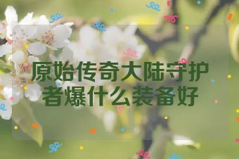 原始传奇大陆守护者爆什么装备好