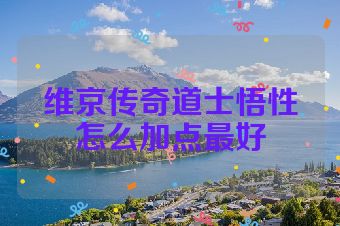 维京传奇道士悟性怎么加点最好