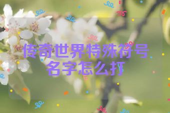 传奇世界特殊符号名字怎么打