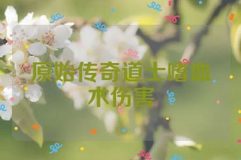原始传奇道士嗜血术伤害