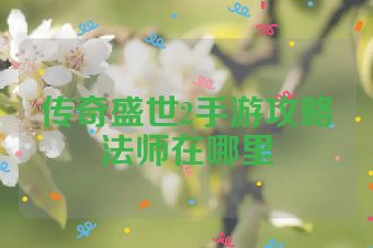 传奇盛世2手游攻略法师在哪里