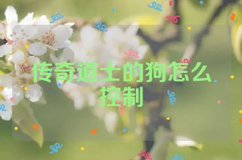 传奇道士的狗怎么控制