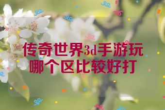 传奇世界3d手游玩哪个区比较好打
