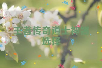 王者传奇道士神器选择