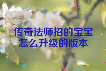 传奇法师招的宝宝怎么升级的版本