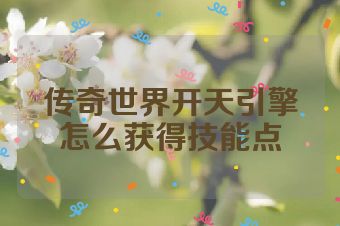 传奇世界开天引擎怎么获得技能点