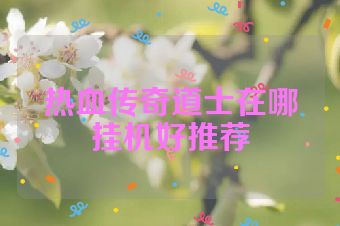 热血传奇道士在哪挂机好推荐