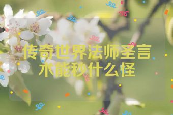 传奇世界法师圣言术能秒什么怪