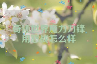 奇迹世界魔力刀锋用怒战怎么样