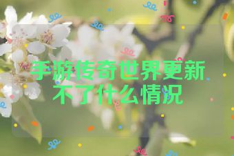 手游传奇世界更新不了什么情况
