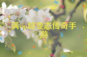 满vip超变态传奇手游