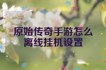原始传奇手游怎么离线挂机设置