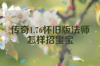 传奇1.76怀旧版法师怎样招宝宝